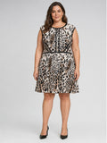 SANDRA DARREN PATTERNS WOMENS DRESS