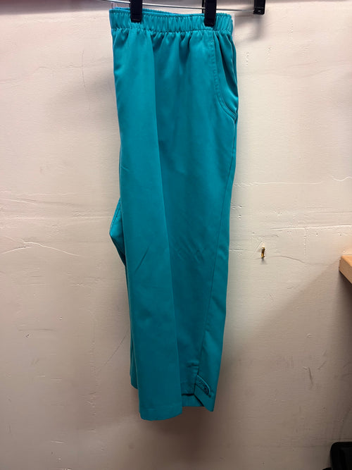 Allison Daily Stretch Waist Short Pants in Teal